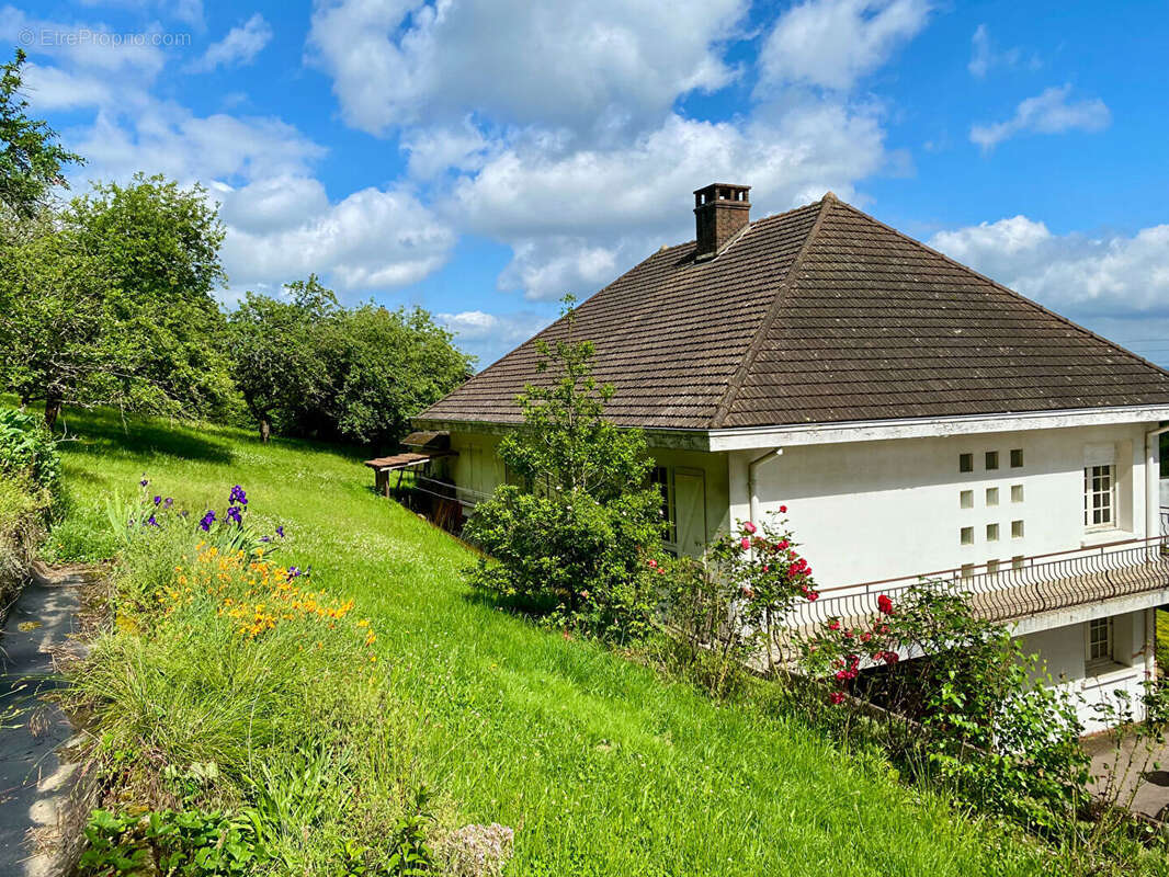 Maison à SANVIGNES-LES-MINES