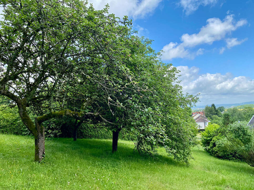 Maison à SANVIGNES-LES-MINES