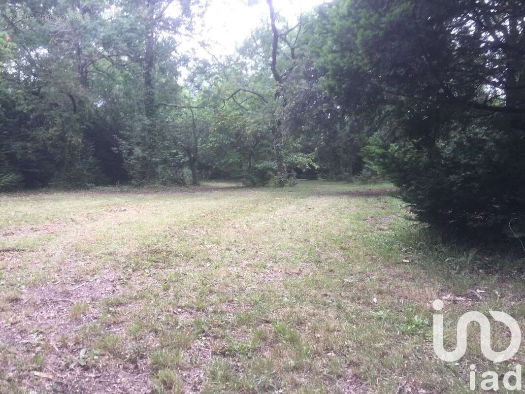 Photo 2 - Terrain à SAINT-VIVIEN-DE-MEDOC