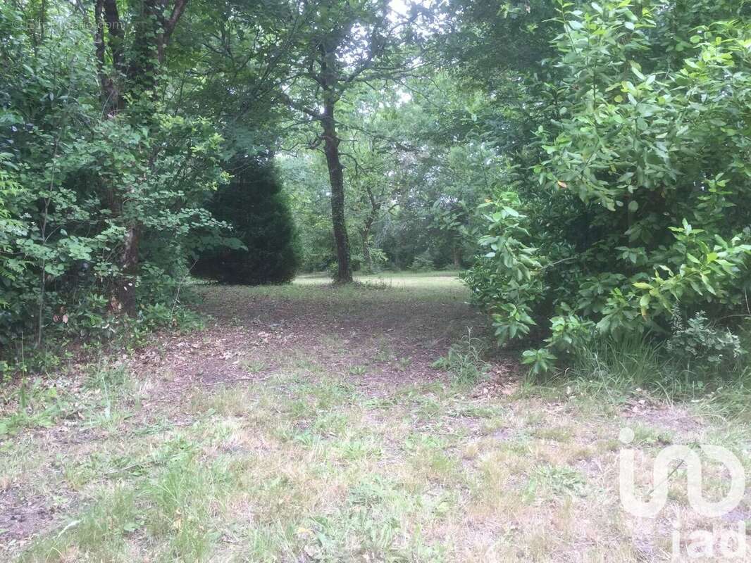 Photo 3 - Terrain à SAINT-VIVIEN-DE-MEDOC