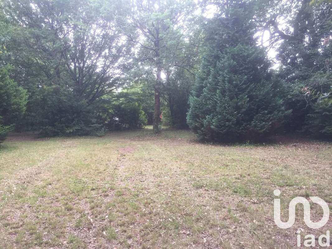 Photo 5 - Terrain à SAINT-VIVIEN-DE-MEDOC