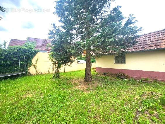 Appartement à BELFORT