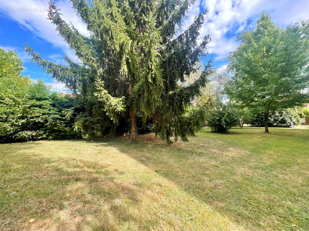 Appartement à SAINT-GENIS-LAVAL