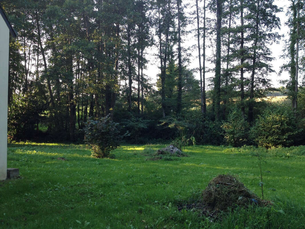 Maison à GUEMENE-PENFAO