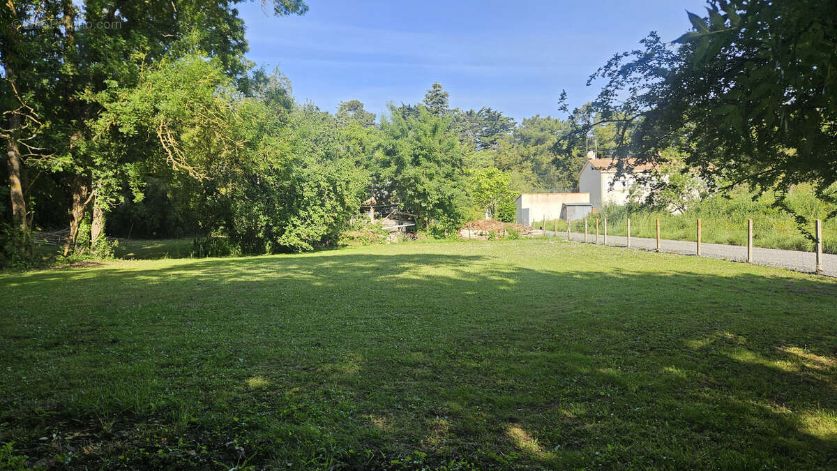 Terrain à NOTRE-DAME-DE-MONTS
