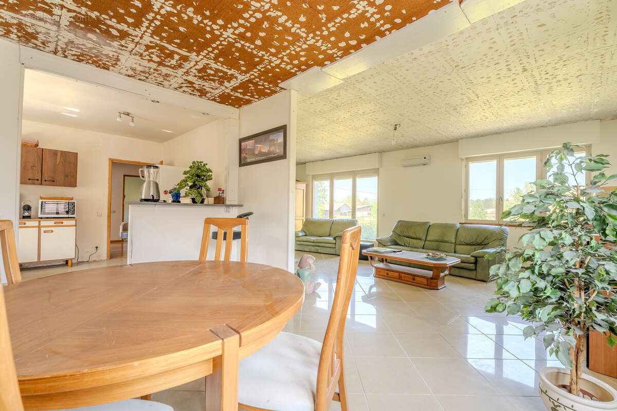 Maison à SCHAFFHOUSE-SUR-ZORN