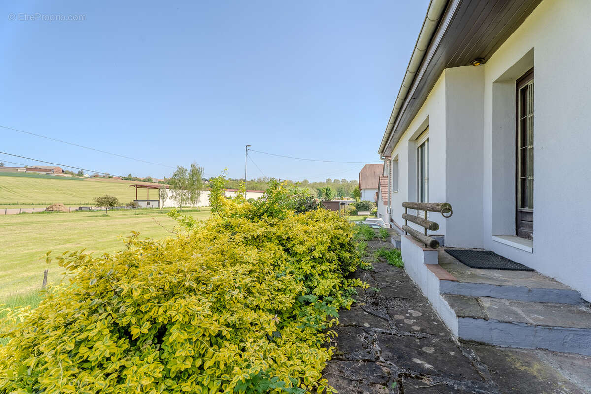 Maison à SCHAFFHOUSE-SUR-ZORN