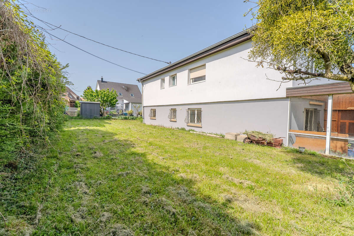 Maison à SCHAFFHOUSE-SUR-ZORN