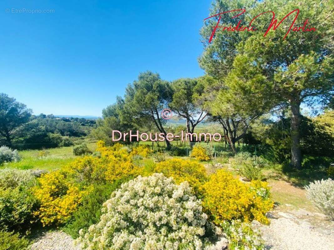 Maison à SAINT-SIFFRET