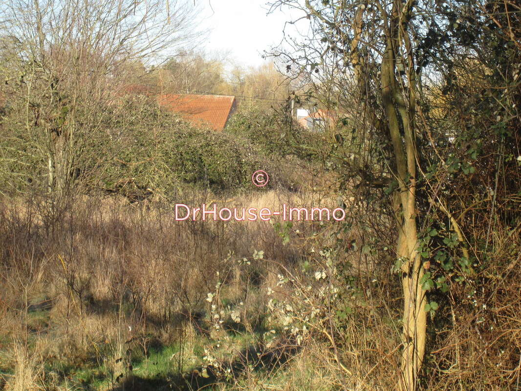 Terrain à MERIGNIES