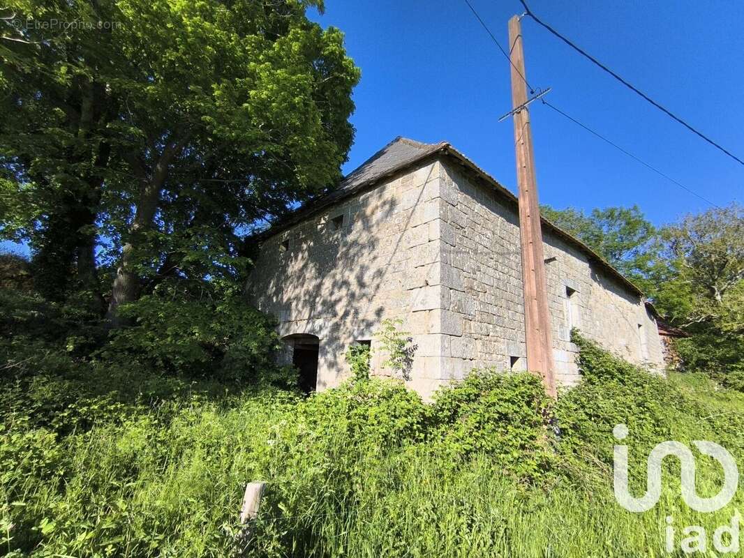 Photo 2 - Appartement à LA VILLETELLE