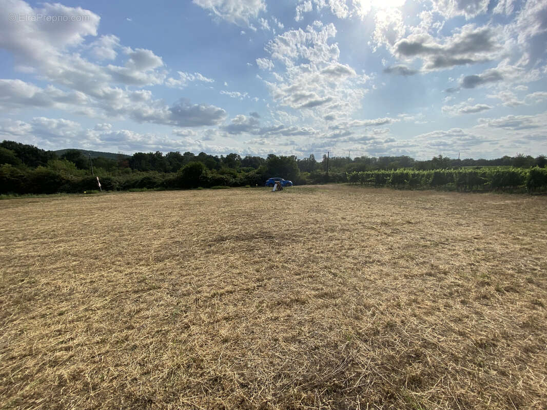 Terrain à LIMOUX