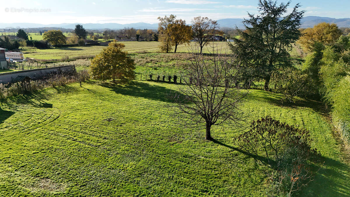 Maison à SAINT-DIDIER-SUR-CHALARONNE