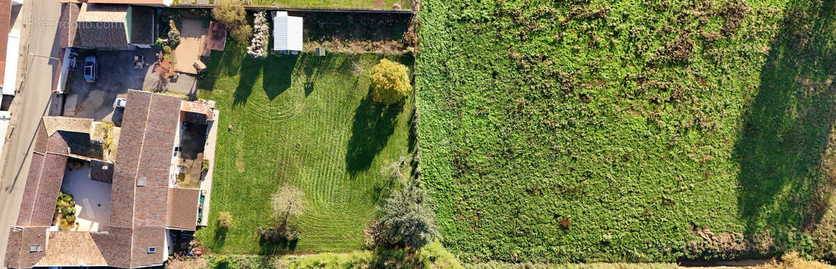 Maison à SAINT-DIDIER-SUR-CHALARONNE