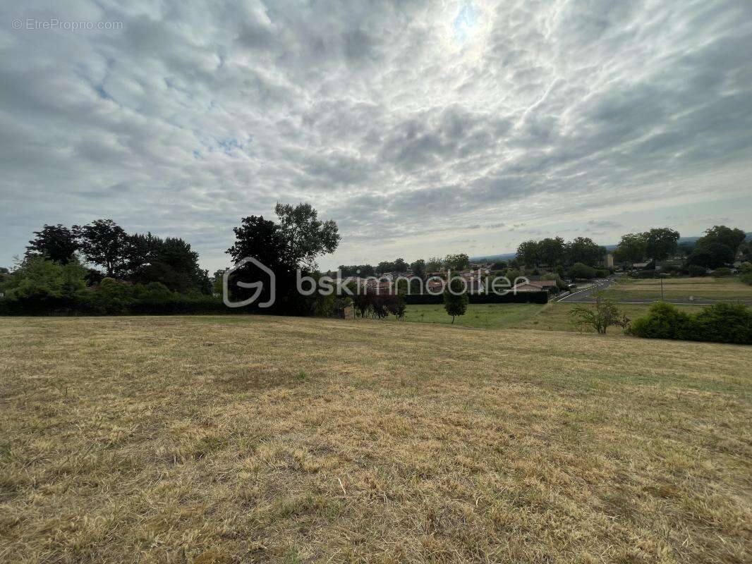 Terrain à RABASTENS