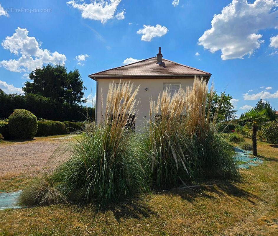 Maison à CREUZIER-LE-VIEUX