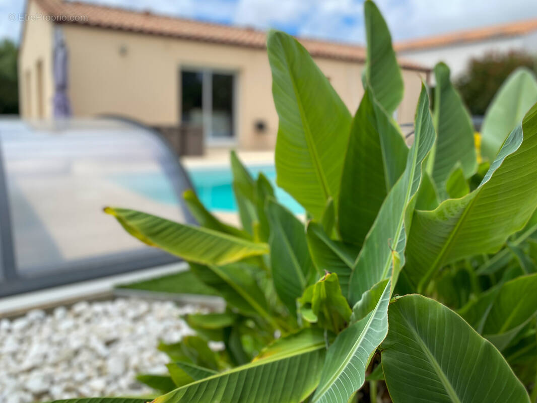 Maison à TALMONT-SAINT-HILAIRE