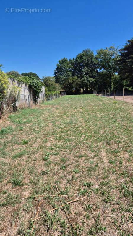 Terrain à ARTHON-EN-RETZ
