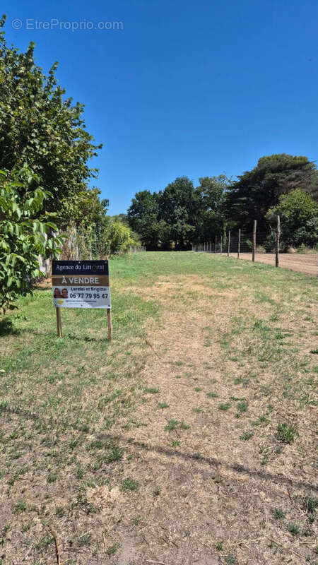 Terrain à ARTHON-EN-RETZ