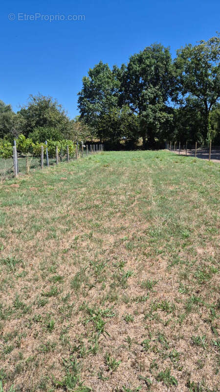 Terrain à ARTHON-EN-RETZ