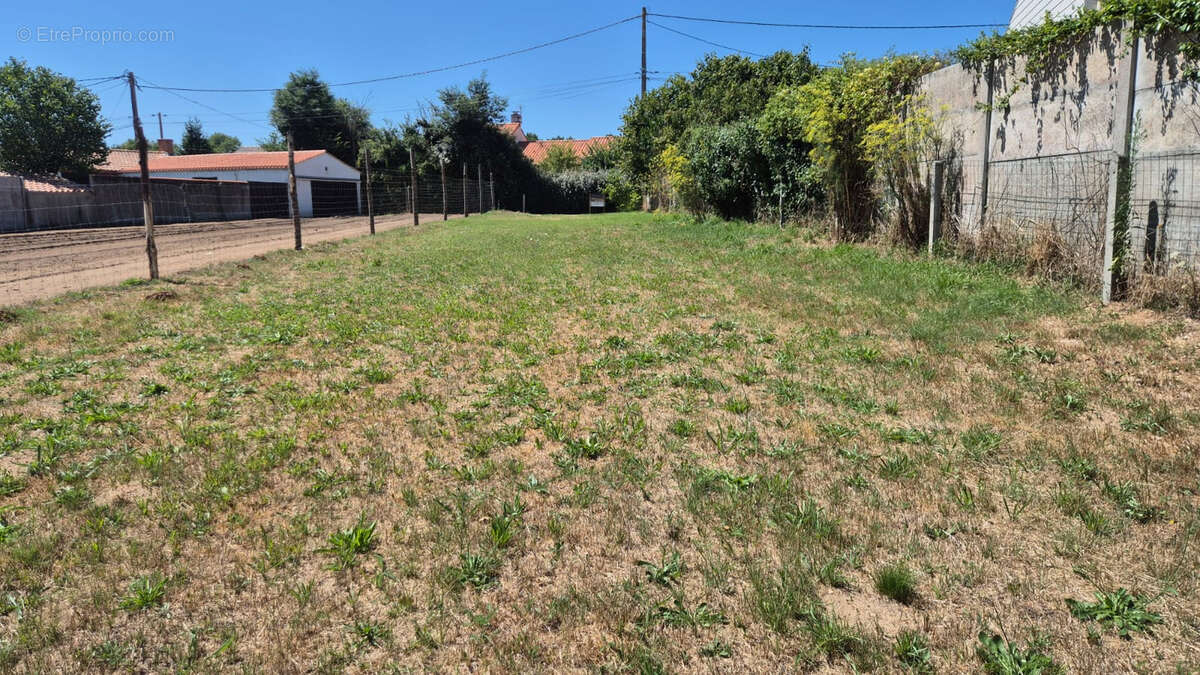 Terrain à ARTHON-EN-RETZ