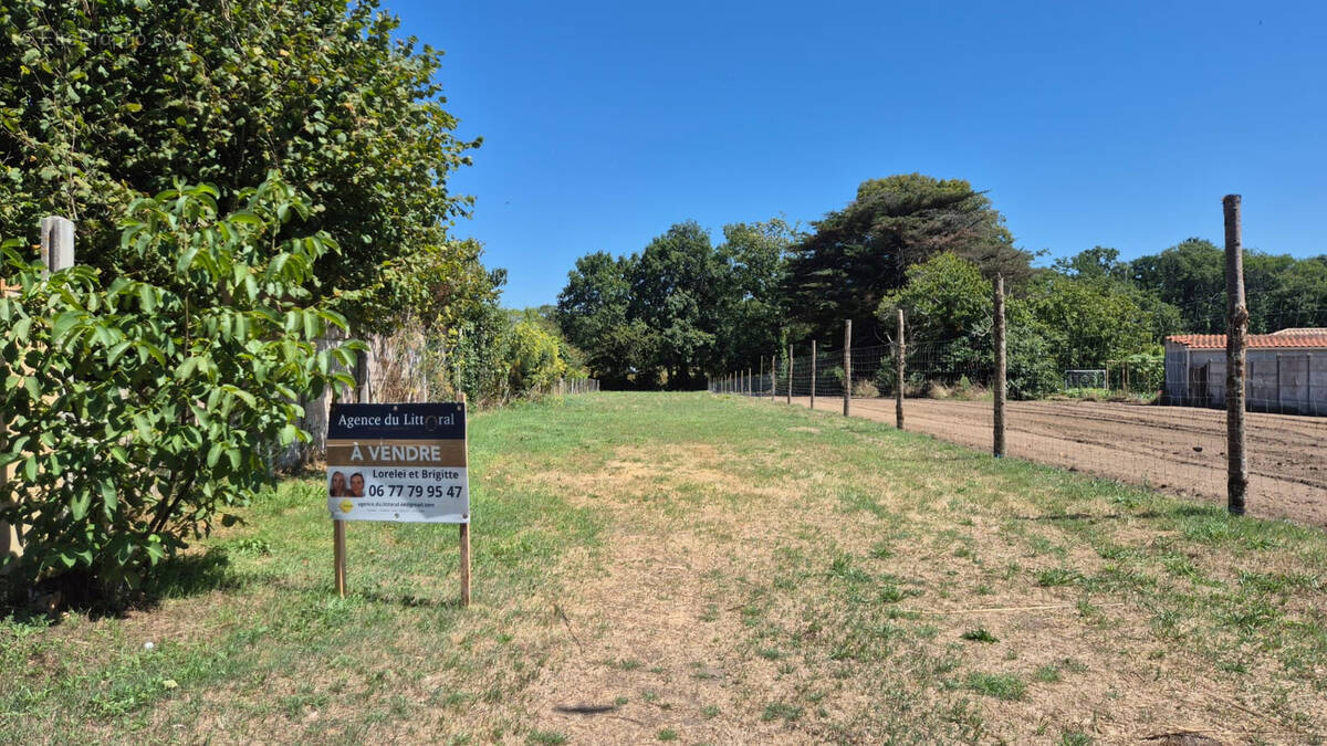 Terrain à ARTHON-EN-RETZ