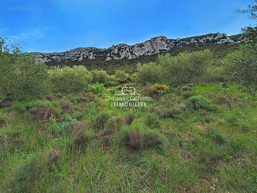 Terrain à SAINT-PAUL-DE-FENOUILLET