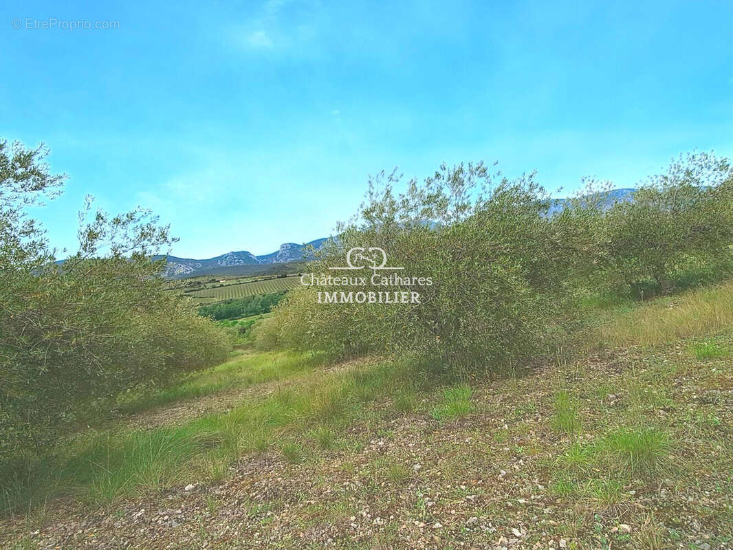 Terrain à SAINT-PAUL-DE-FENOUILLET