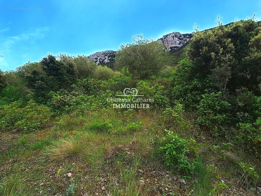 Terrain à SAINT-PAUL-DE-FENOUILLET