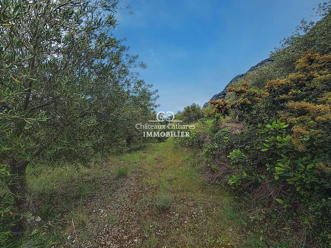 Terrain à SAINT-PAUL-DE-FENOUILLET