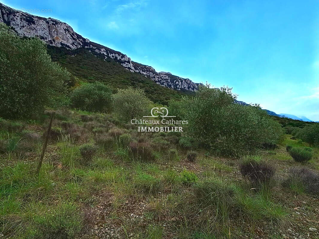 Terrain à SAINT-PAUL-DE-FENOUILLET