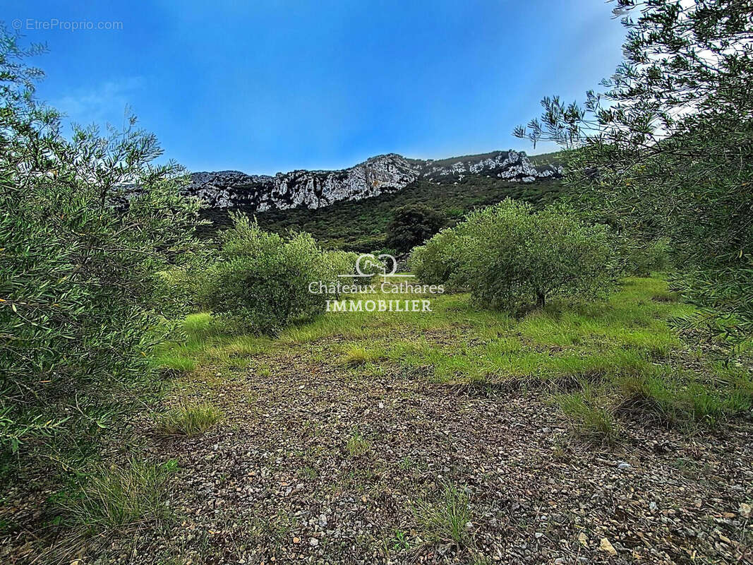 Terrain à SAINT-PAUL-DE-FENOUILLET