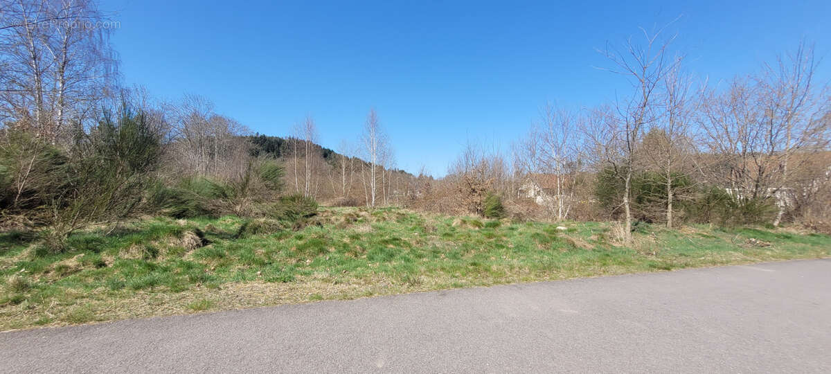 Terrain à SAINT-LEONARD