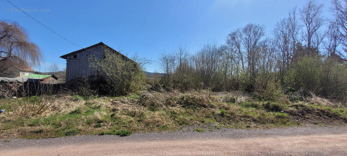 Terrain à SAINT-LEONARD