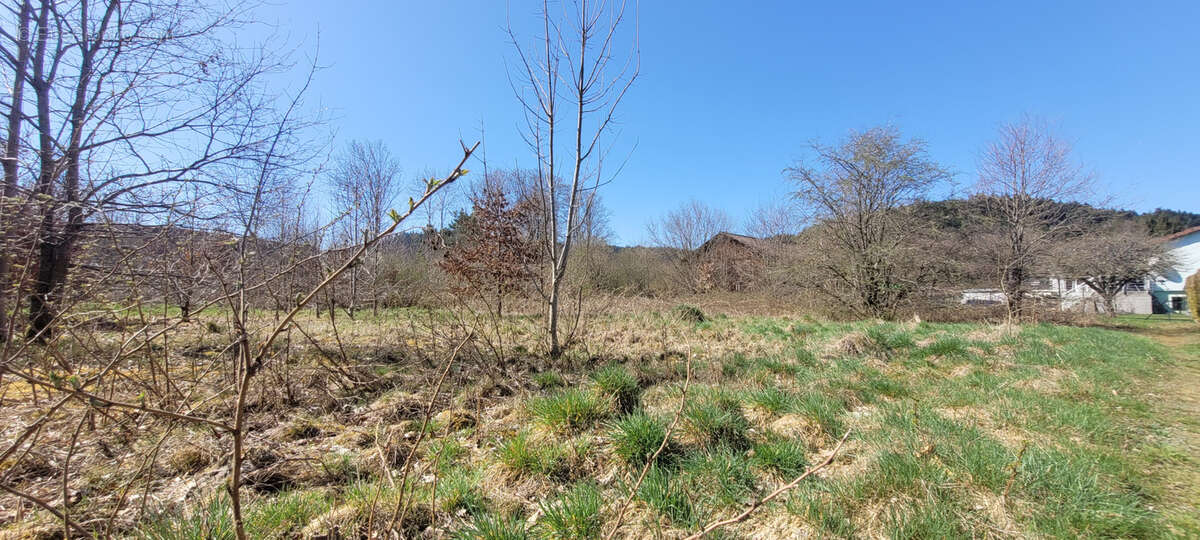Terrain à SAINT-LEONARD
