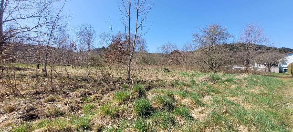 Terrain à SAINT-LEONARD