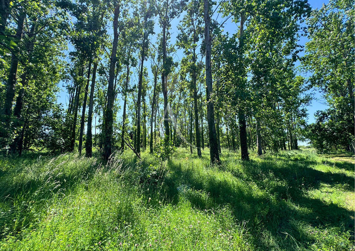 Maison à SAINT-URBAIN