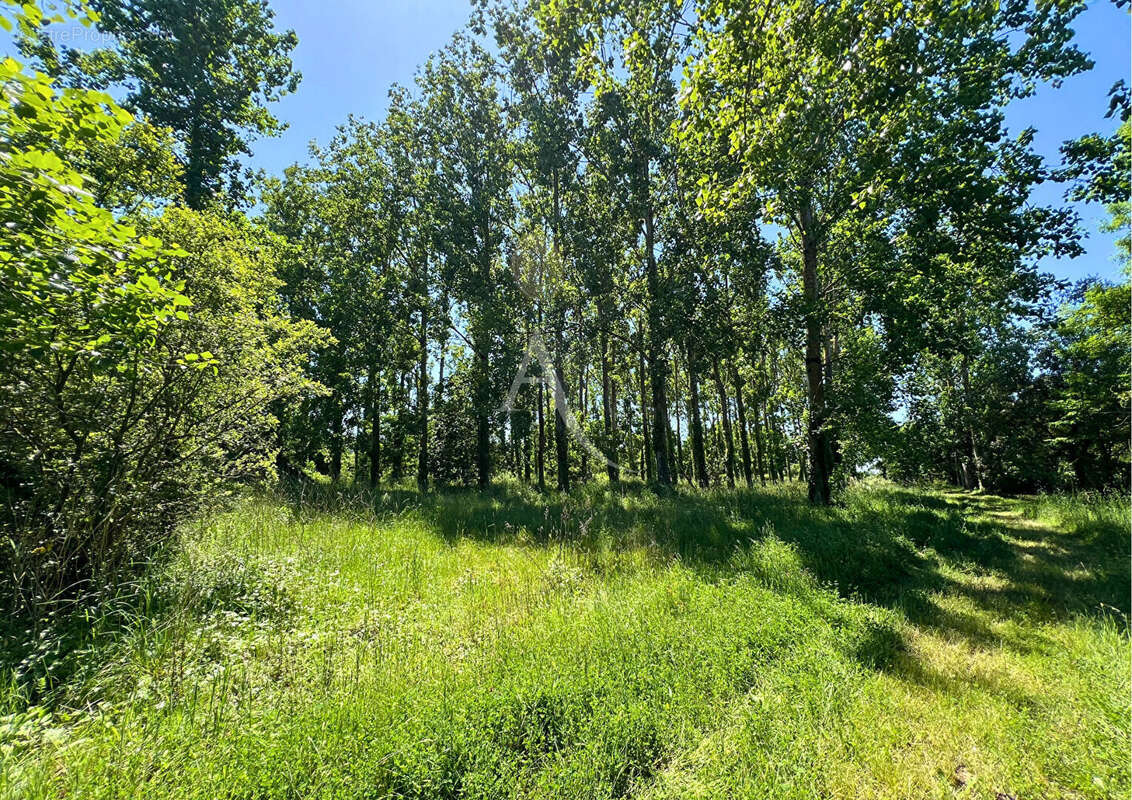 Maison à SAINT-URBAIN