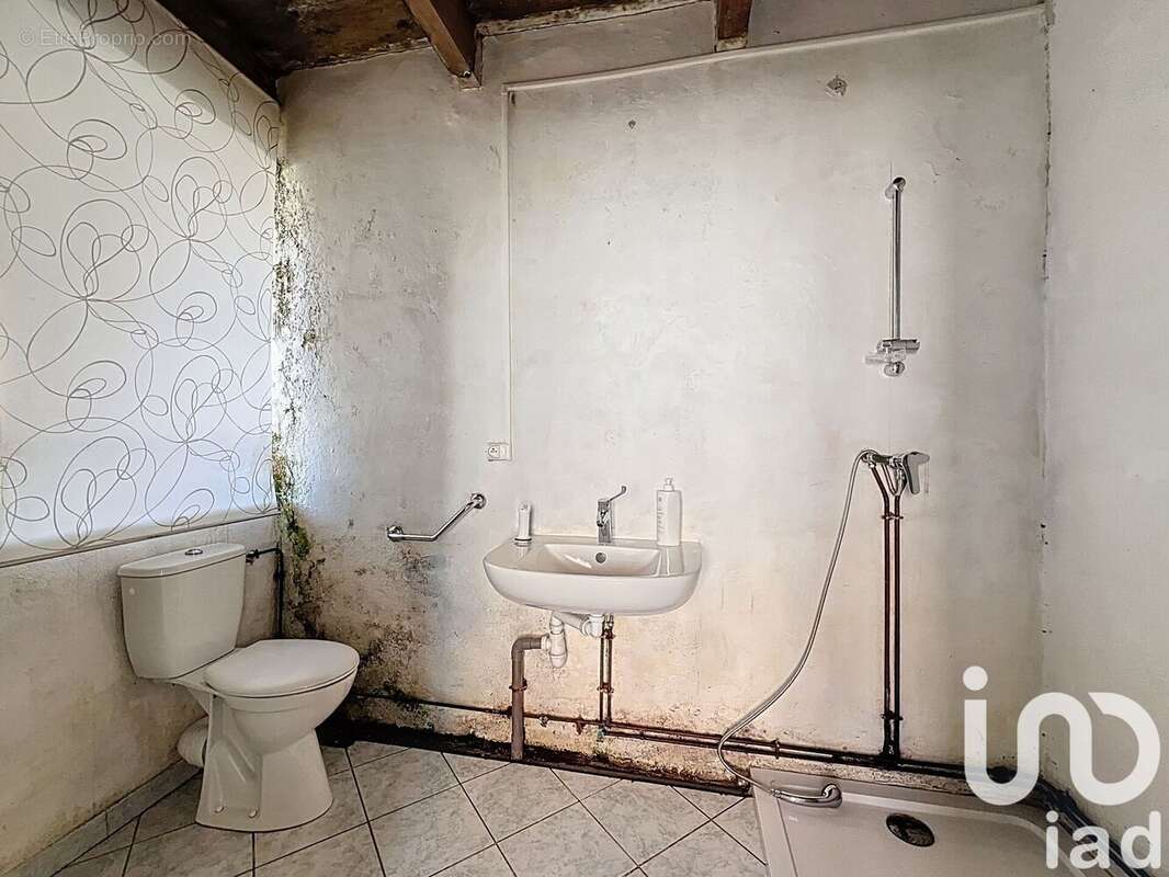 Photo 8 - Maison à LACHAMP-RAPHAEL