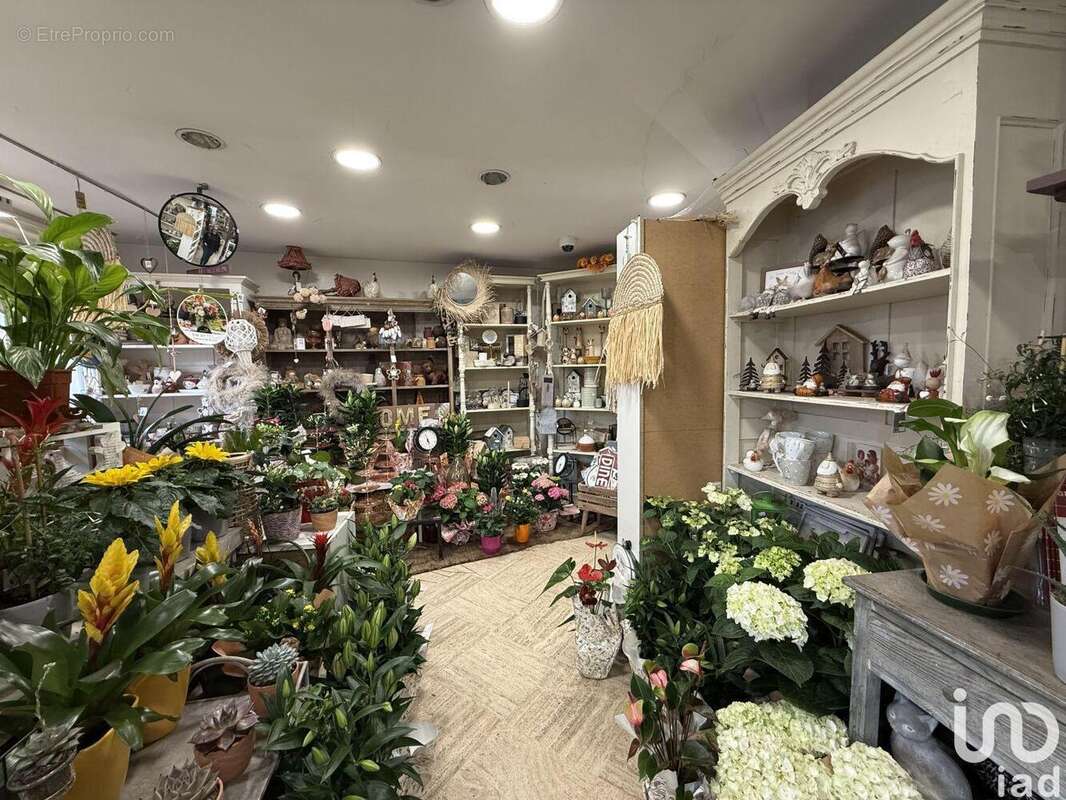 Photo 3 - Commerce à CHARLEVAL