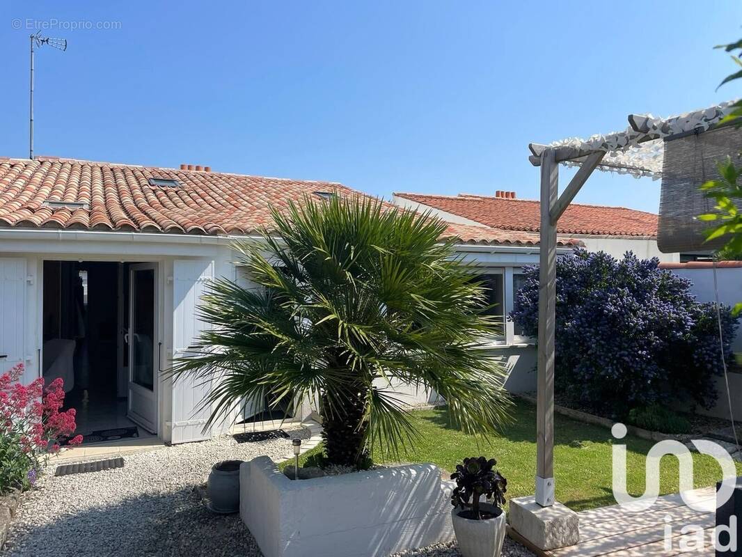 Photo 1 - Maison à SAINT-MARTIN-DE-RE