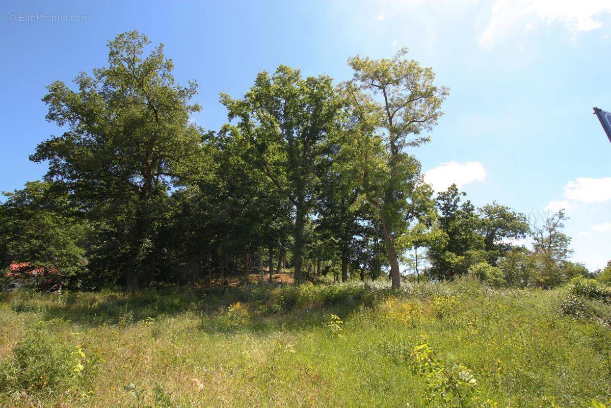 Terrain à SAINTE-MESME