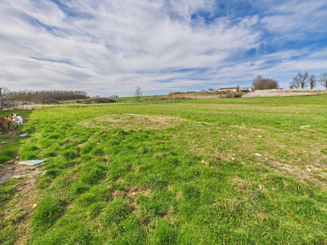 Maison à SAINT-GEORGES-D&#039;ESPERANCHE