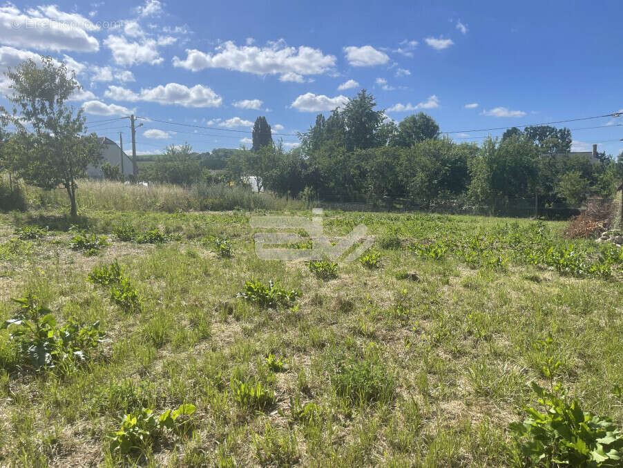 Terrain à COURVILLE