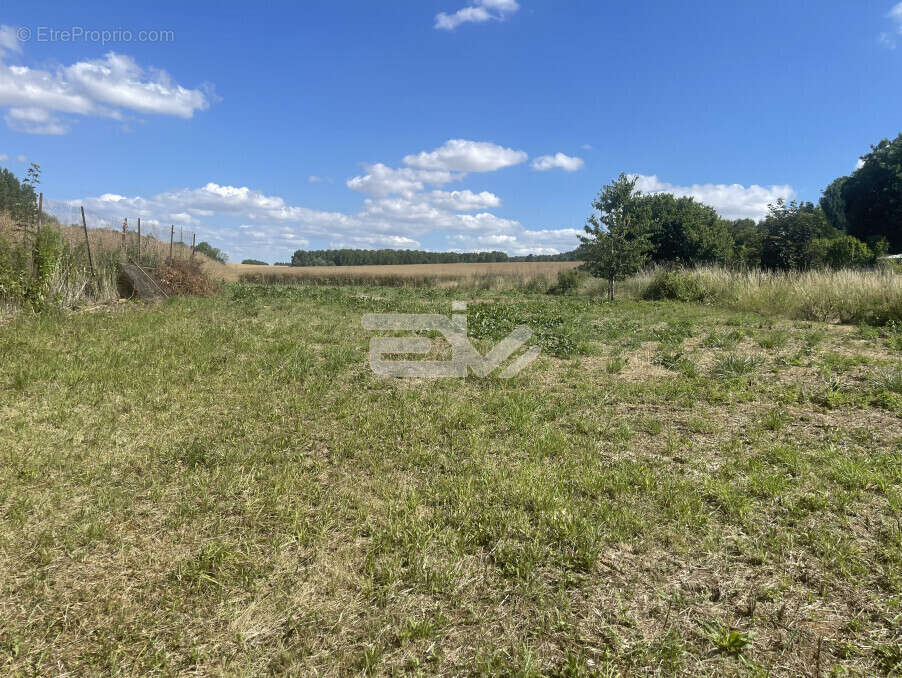 Terrain à COURVILLE