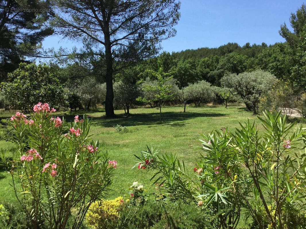 Maison à CARPENTRAS