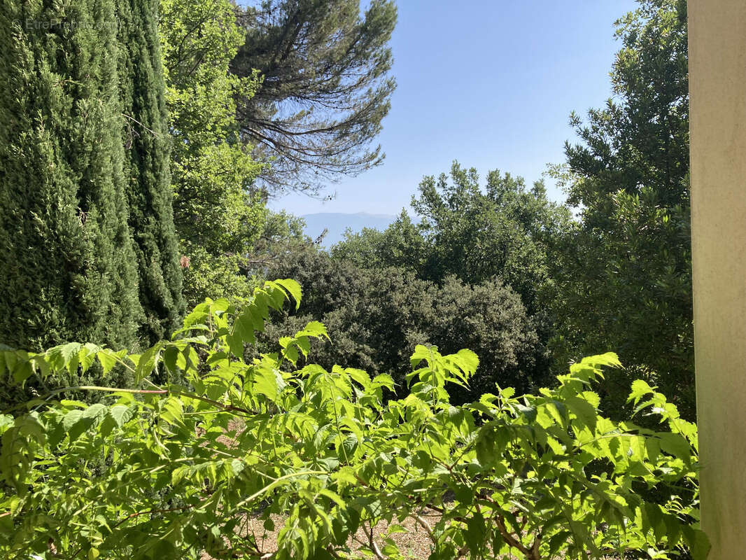 Maison à CARPENTRAS