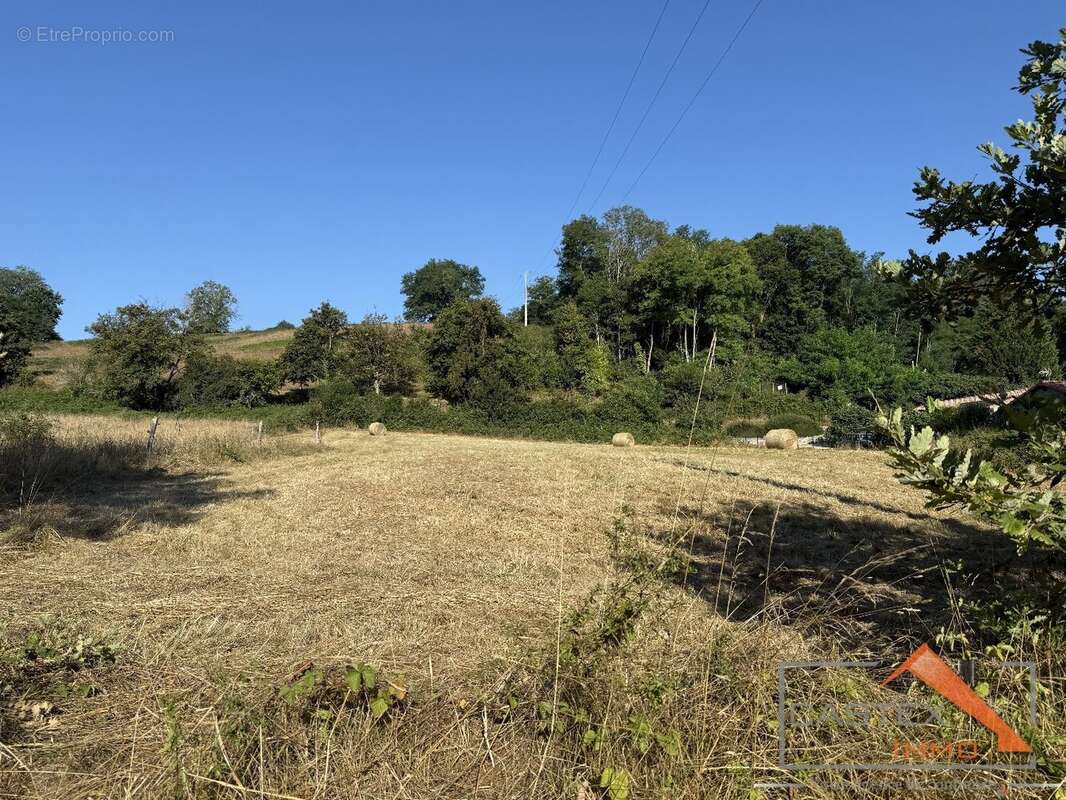 Terrain à SALIES-DU-SALAT