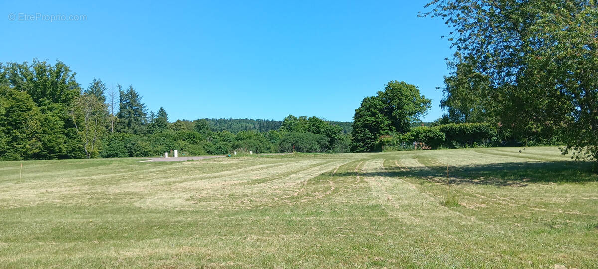 Terrain à MALBOUHANS