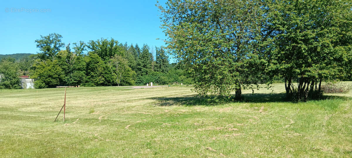 Terrain à MALBOUHANS